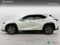Lexus UX 300e e- Wit - thumbnail 2