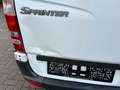 Mercedes-Benz Sprinter 311 Cdi Automatik L2H2 VDL 9Sitze Lift Blanc - thumbnail 36