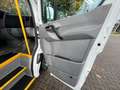 Mercedes-Benz Sprinter 311 Cdi Automatik L2H2 VDL 9Sitze Lift Blanc - thumbnail 26