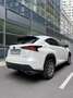 Lexus NX 300 Weiß - thumbnail 4