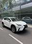 Lexus NX 300 Weiß - thumbnail 1
