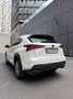 Lexus NX 300 Weiß - thumbnail 3
