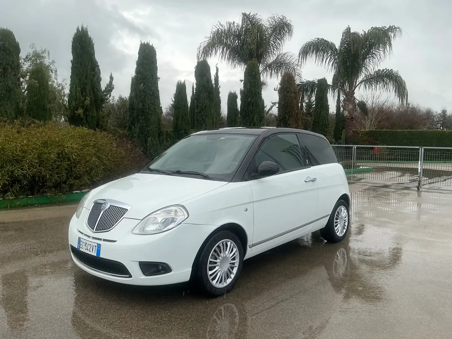 Lancia Ypsilon Argento 1.2 BENZINA Blanc - 1