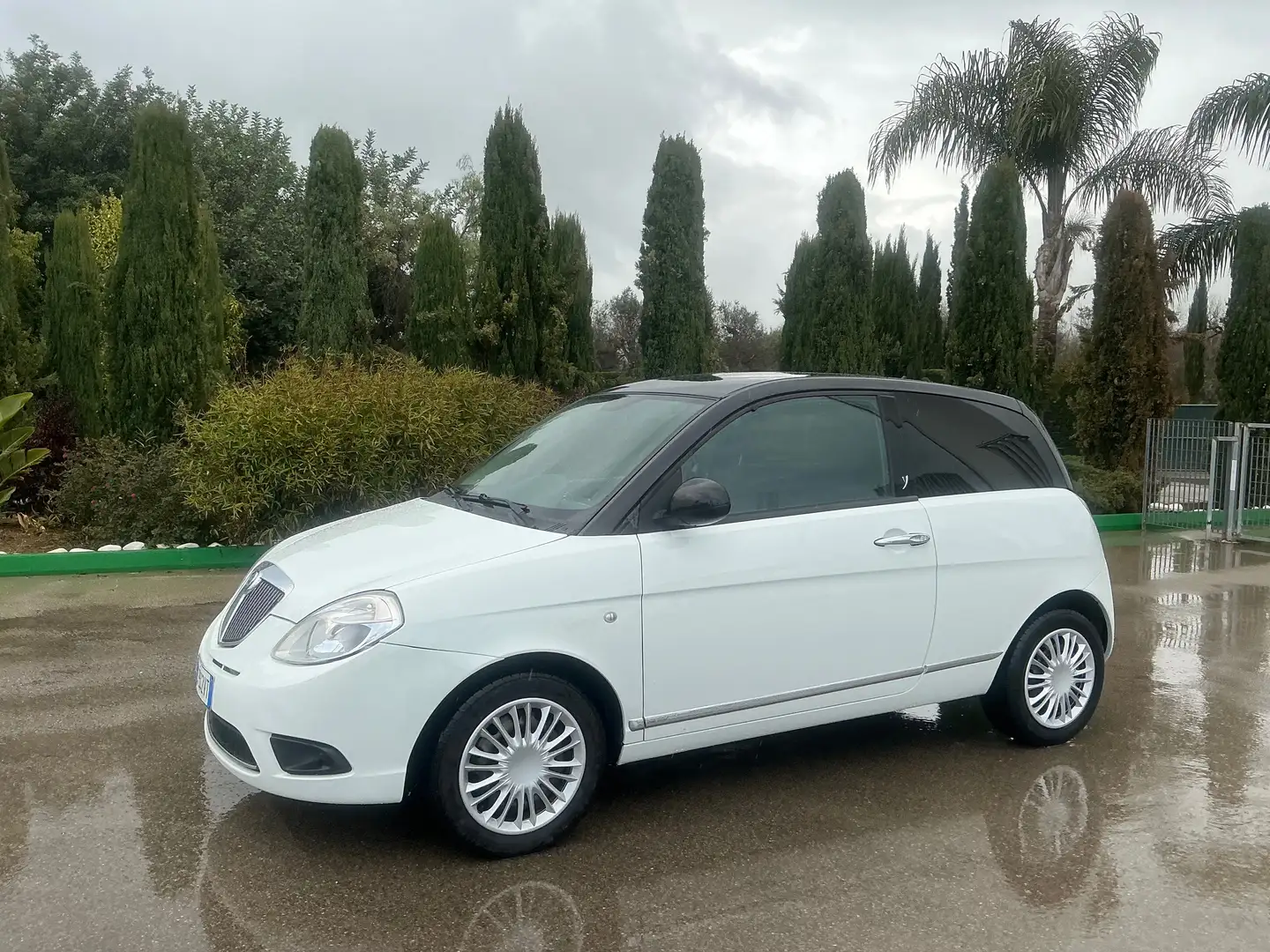 Lancia Ypsilon Argento 1.2 BENZINA Blanc - 2