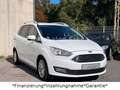 Ford Grand C-Max Grand C-MAX Titanium*Navi*Kamera*Sitzheizung*PDC Blanc - thumbnail 7