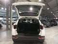 Hyundai TUCSON 1.6 T-PHEV 4WD Navi|ParkPilot|Sitzheiz. Bianco - thumbnail 6