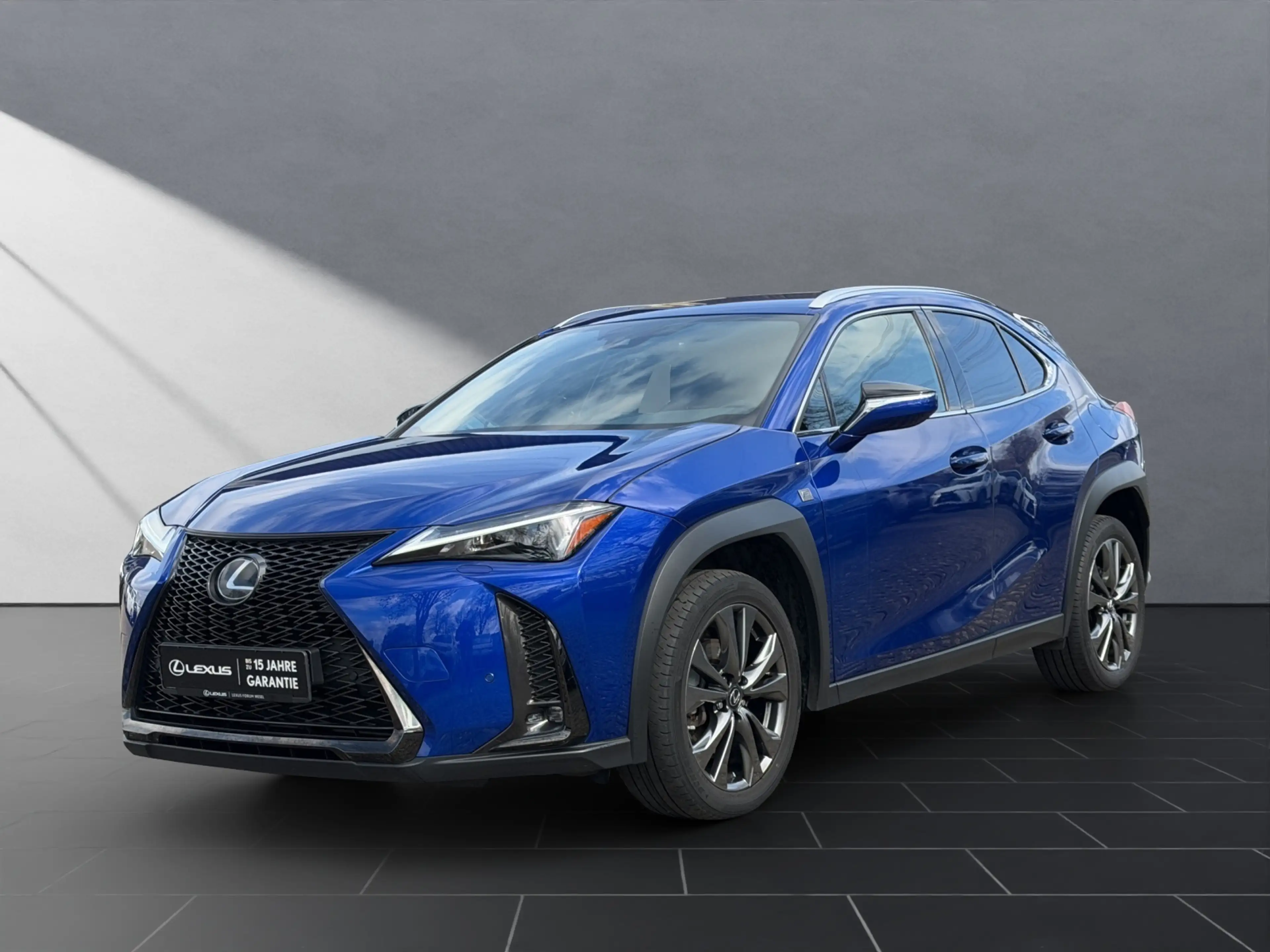 Lexus UX 250h 250h F Sport Design NAVI+KAMERA+ACC+LED+18"
