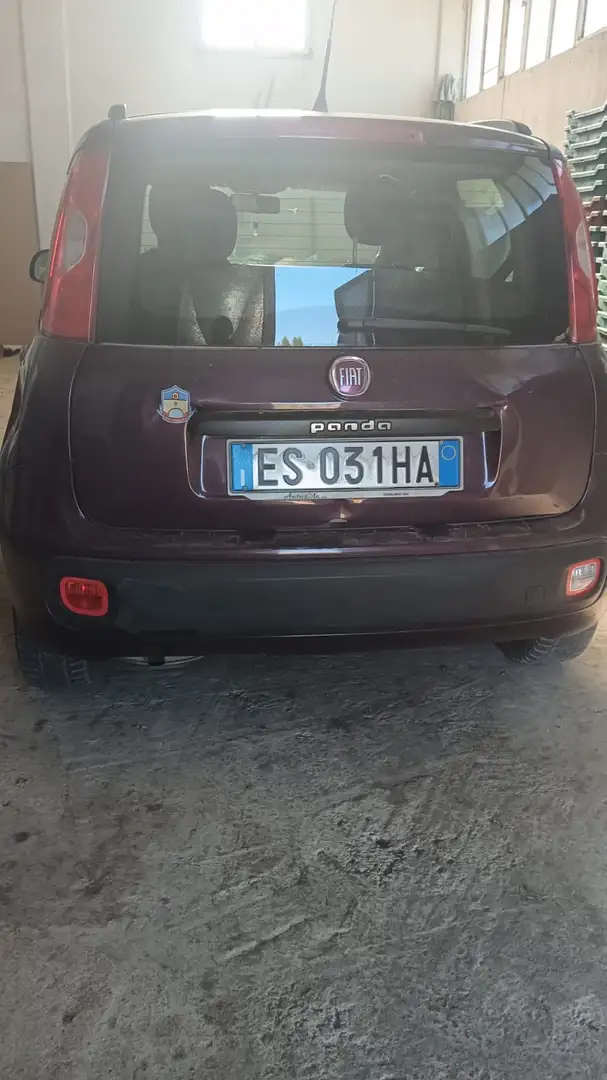 Fiat Panda 1.2 Active Gpl - 1