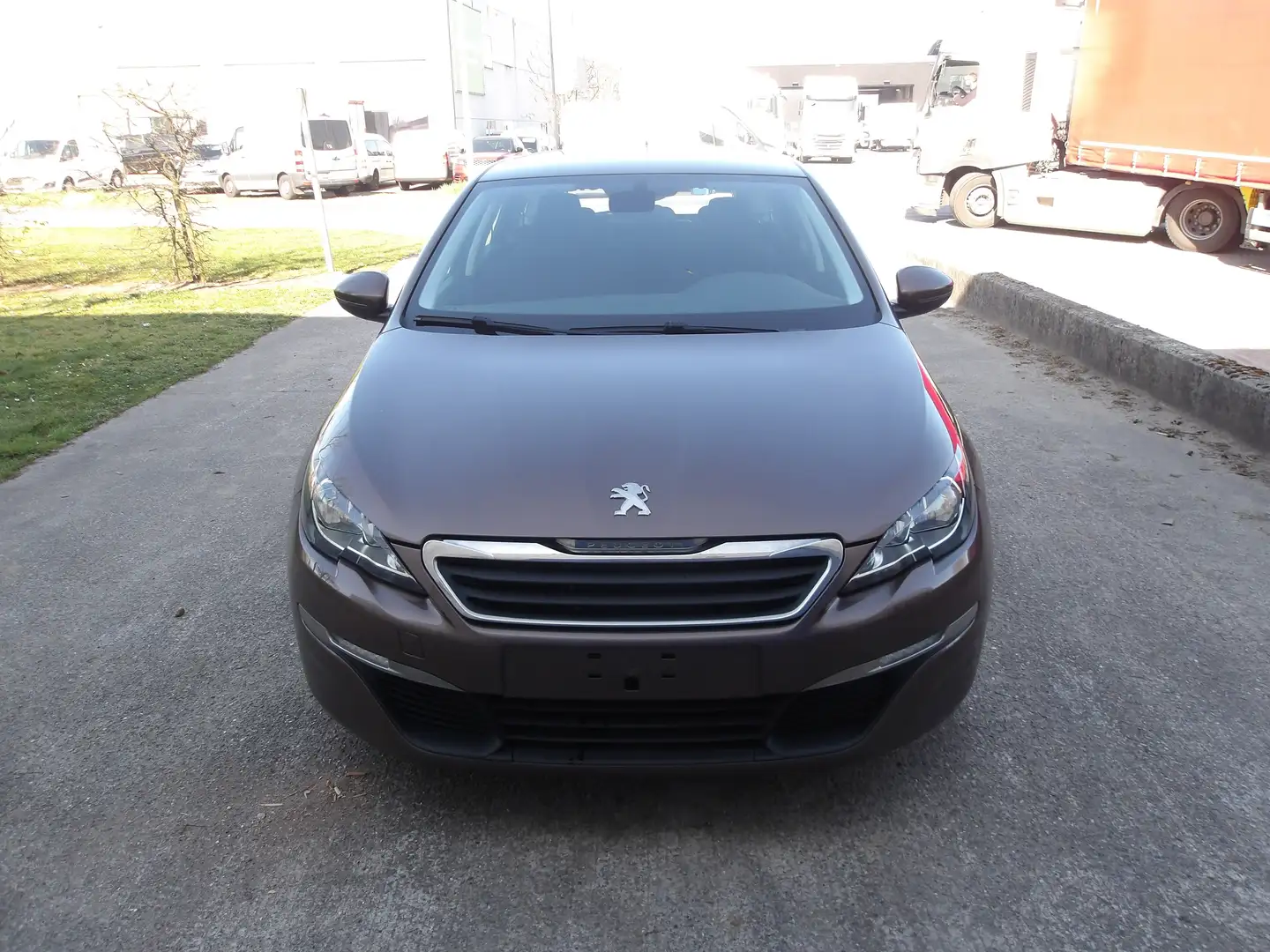 Peugeot 308 (Stock ID 931) Brun - 2