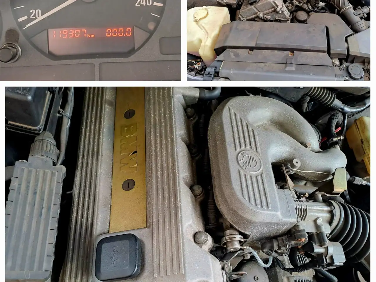BMW 318