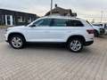 Skoda Kodiaq DSG 7 Sitzer ACC LED DAB NAVI Weiß - thumbnail 12