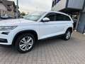 Skoda Kodiaq DSG 7 Sitzer ACC LED DAB NAVI Weiß - thumbnail 13