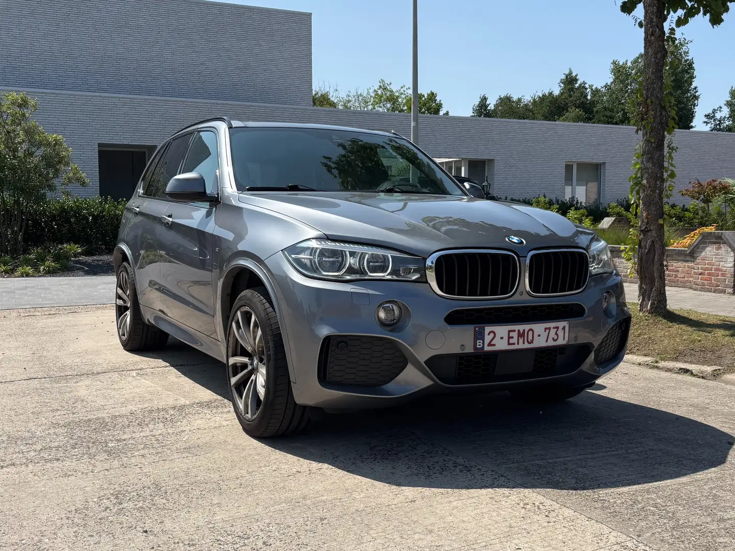 BMW X5 X5 xDrive30d Sport-Aut. Argent - 1