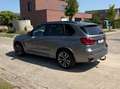 BMW X5 X5 xDrive30d Sport-Aut. Argent - thumbnail 7