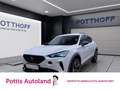 CUPRA Formentor 1.5 TSI AHK NAVI PDC LED SITZHZG Weiß - thumbnail 1