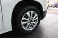 Citroen Berlingo Shine M/AHK/Drive-Assist-Paket/Wireless Blanc - thumbnail 28