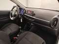 Kia Picanto 1.0 DPi Concept Gris - thumbnail 10