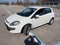 Fiat Punto Evo 5p 1.4 natural power Emotion 70cv - thumbnail 4