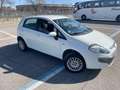 Fiat Punto Evo 5p 1.4 natural power Emotion 70cv - thumbnail 3