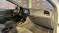 SEAT Leon cupra performance 2.0 tsi 290cv dsg7 phase 2 garan Blanc - thumbnail 13