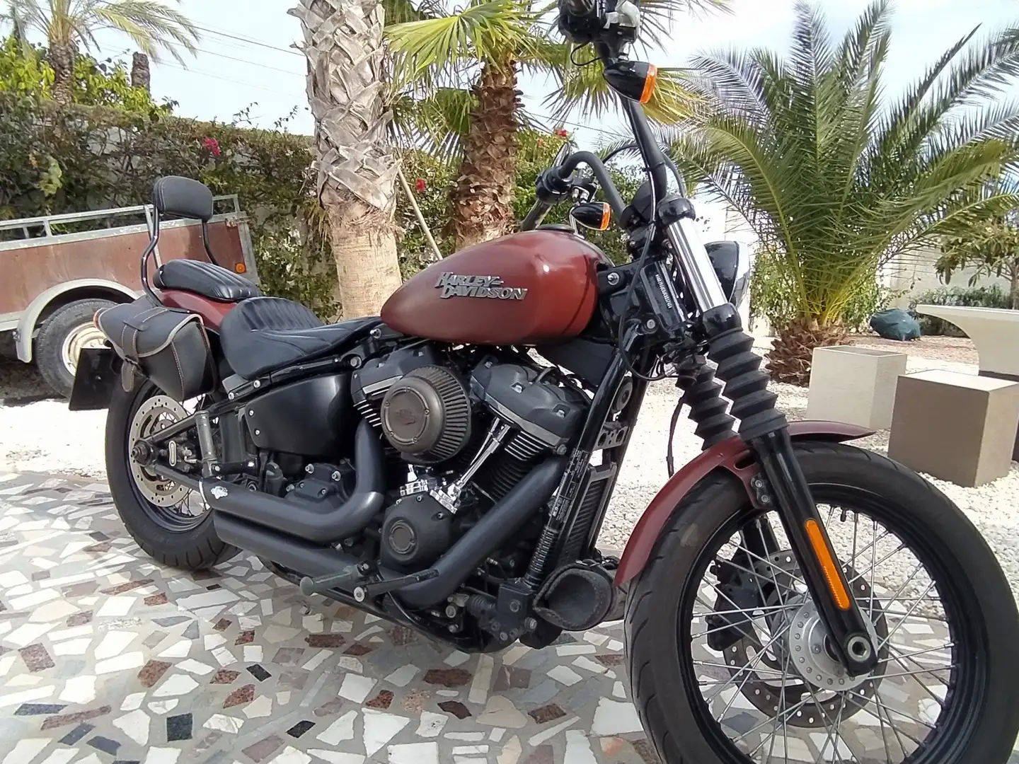 Harley-Davidson Street Bob Maro - 1