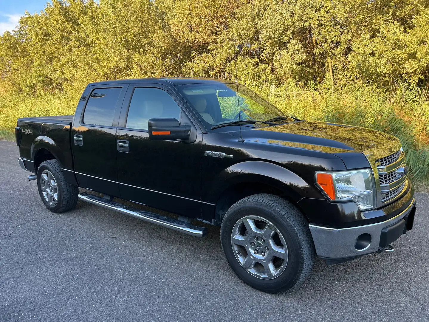 Ford F 150 - 2
