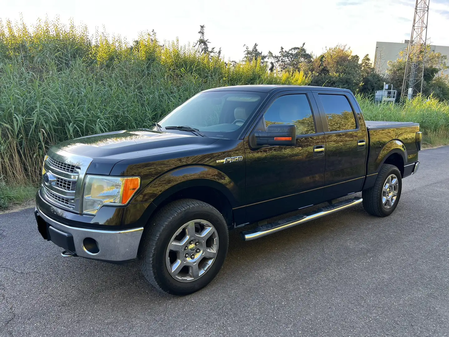 Ford F 150 - 1