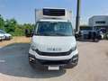 Iveco Daily refrigerato iso 60 C 15 Bianco - thumbnail 5