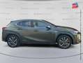 Lexus UX 250h 250h 2WD F SPORT MY21 Grün - thumbnail 4