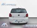 Volkswagen Polo 1.4 TDI Comfortline BlueMotionTech Wit - thumbnail 8