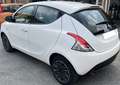 Lancia Ypsilon 1.0 70cv Gold - NO VINCOLI! Blanc - thumbnail 4
