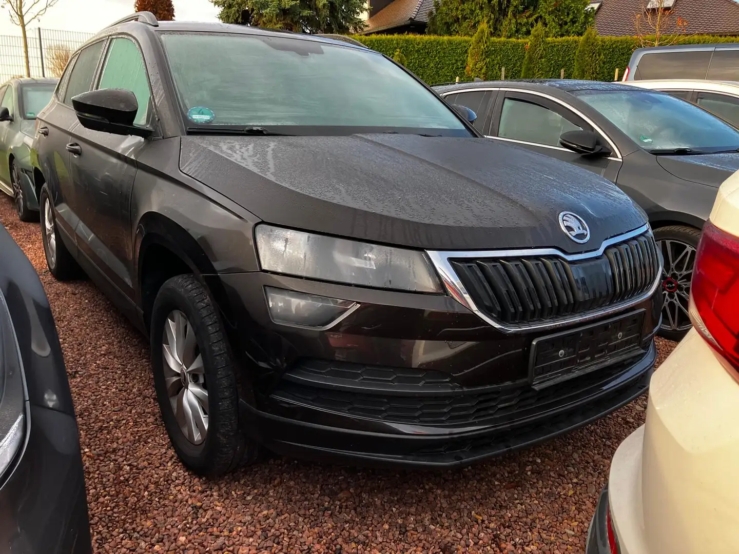 Skoda Karoq 1.5 TSI DSG Ambition SHZ|Klima|DAB+Radio Brun - 2