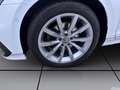 Volkswagen Passat Variant 2.0 TDI DSG ELEGANCE STDHZG NAVI AHK KAMERA Weiß - thumbnail 8