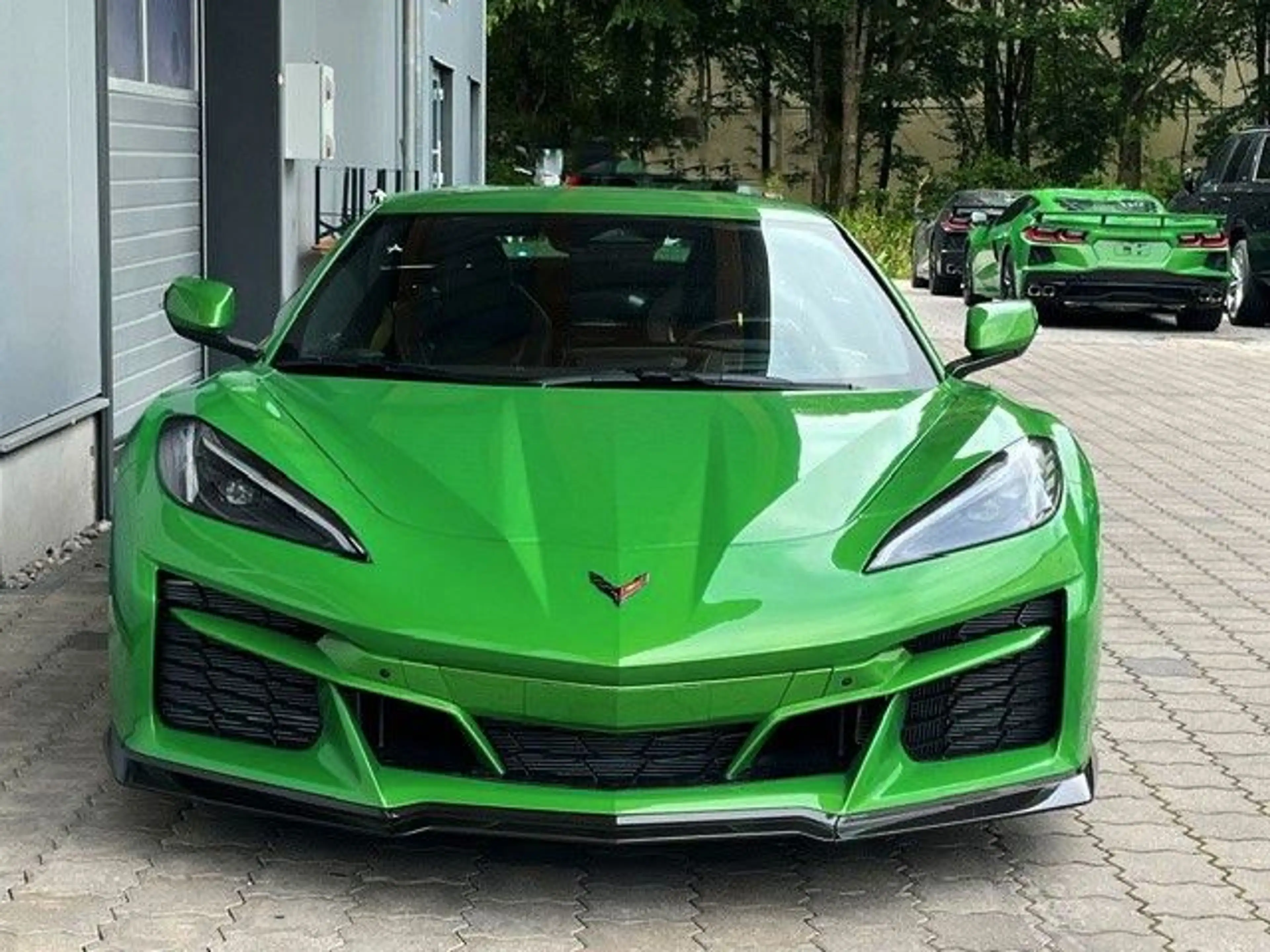 Corvette C8 Cabrio E-Ray 3LZ MY26 GEIGERCARS — photo 12