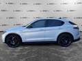 Alfa Romeo Stelvio Stelvio 2.2 Turbodiesel 210 CV AT8 Q4 Competizione Grau - thumbnail 4