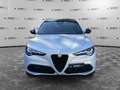 Alfa Romeo Stelvio Stelvio 2.2 Turbodiesel 210 CV AT8 Q4 Competizione Grau - thumbnail 2