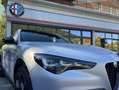 Alfa Romeo Stelvio Stelvio 2.2 Turbodiesel 210 CV AT8 Q4 Competizione Grau - thumbnail 14