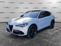 Alfa Romeo Stelvio Stelvio 2.2 Turbodiesel 210 CV AT8 Q4 Competizione Grau - thumbnail 1