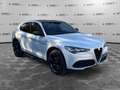 Alfa Romeo Stelvio Stelvio 2.2 Turbodiesel 210 CV AT8 Q4 Competizione Grau - thumbnail 3