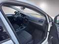 Volkswagen Golf Variant TSI*ZahnriemenNEU*Sitzhzg*Bluetooth*Tempomat Weiß - thumbnail 12