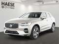 Volvo XC60 T6 Plus Bright Plug-In Hybrid AWD HUD Voll-LED Pan Grau - thumbnail 1