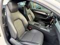 Mercedes-Benz C 220 CDI BlueEfficiency AMG Line Bi-Xenon Navi Weiß - thumbnail 21