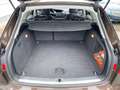 Audi A4 allroad A4 allroad Avant quattro 2.0 TDI S tronic XENON Braun - thumbnail 7