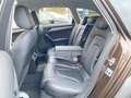 Audi A4 allroad A4 allroad Avant quattro 2.0 TDI S tronic XENON Braun - thumbnail 19