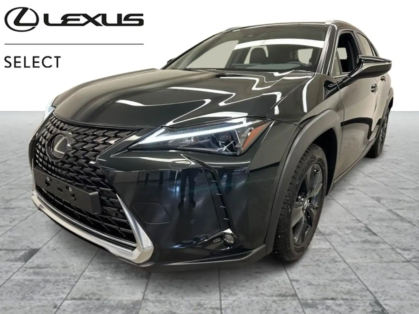 Lexus UX 250h Business Line Schwarz - 1