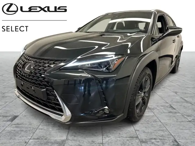 Lexus UX 250h Business Line