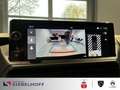Citroen Jumpy Kastenwagen Business Standard 2.0 BlueHDi Alb - thumbnail 14