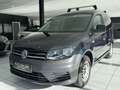 Volkswagen Caddy Nfz Kasten EcoProfi*NAVI*KLIMA*SORTIMO*PDC Blu/Azzurro - thumbnail 1