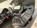 Porsche Panamera E-Hybrid S Facelift / Schiebedach / Memory Sitze / Weiß - thumbnail 13