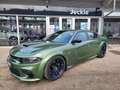 Dodge Charger 6.4L ScatPack Widebody-LAST CALL Grün - thumbnail 1